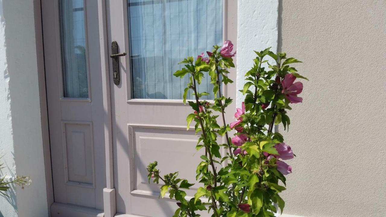 Vila Flora Sečovlje 外观 照片
